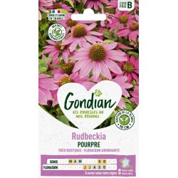 GONDIAN Rudbeckia POURPRE...