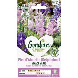 GONDIAN Delphinium VIVACE...