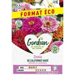 GONDIAN FORMAT ÉCO-Zinnia...