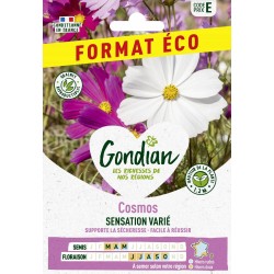 GONDIAN FORMAT ÉCO-Cosmos...