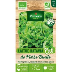 VILMORIN LAITUE BATAVIA BIO...