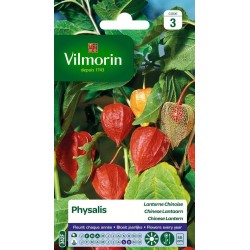 VILMORIN PHYSALIS Lanterne...