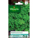 VILMORIN PERSIL Frisé Vert...