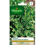 VILMORIN PISSENLIT À Coeur...