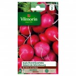 VILMORIN RADIS Rond...