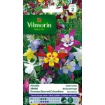 VILMORIN ANCOLIE Étoile...