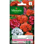 VILMORIN GERANIUM Cricket...