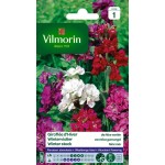 VILMORIN GIROFLÉE D'HIVER...