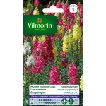 VILMORIN MUFLIER Grand Loup...