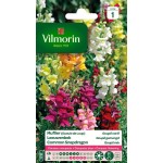 VILMORIN MUFLIER Goupil...