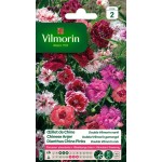 VILMORIN OEILLET DE CHINE...