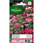 VILMORIN OEILLET DE POÈTE...