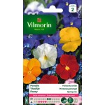 VILMORIN PENSÉE Printania...