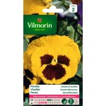 VILMORIN PENSÉE Géante Or...