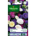 VILMORIN REINE MARGUERITE...