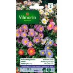 VILMORIN REINE MARGUERITE...