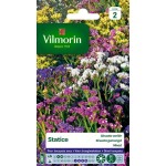 VILMORIN STATICE Sinuata...