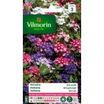 VILMORIN VERVEINE Brio...