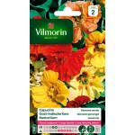 VILMORIN CAPUCINE Diamant...