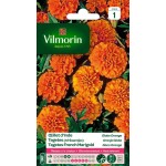 VILMORIN OEILLET D'INDE...
