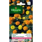 VILMORIN ROSE D'INDE Naine...