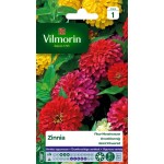 VILMORIN ZINNIA Fleur...