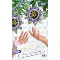 PASSIFLORA caerulea ESPAL...