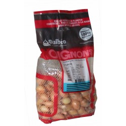 BULBÉO Oignon Long STURON...
