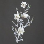 Magnolia Enneigé  Crème 76Cm