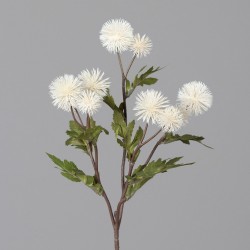 Tige Chardon Boule  Crème H56