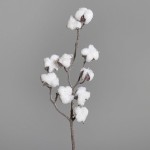 Tige Coton Scintillant   H50