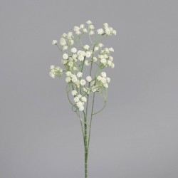 Tige Gypsophile  Crème H63