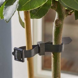Attaches Buckle Rose &...