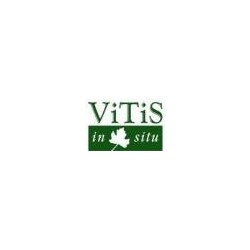 VITIS IN SITU