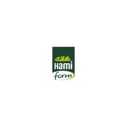 HAMI FORM