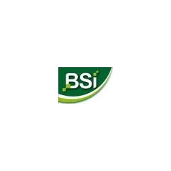 BSI