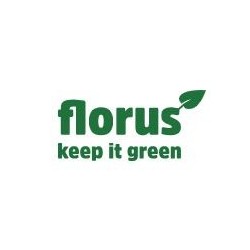 FLORUS