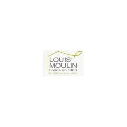 LOUIS MOULIN